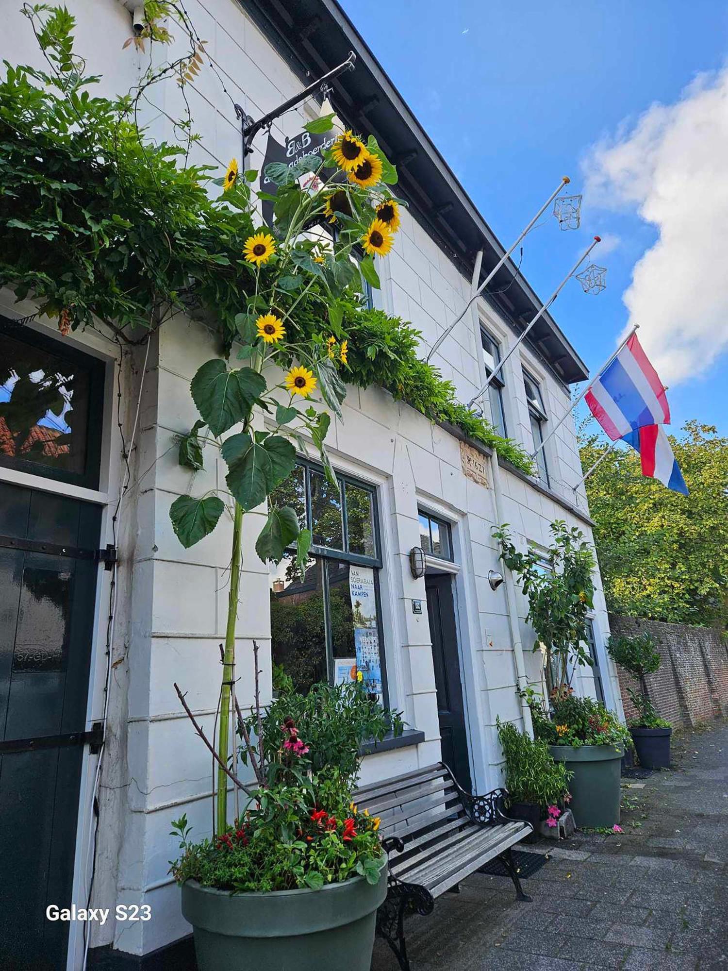 De Stadsboerderij Kampen Kültér fotó