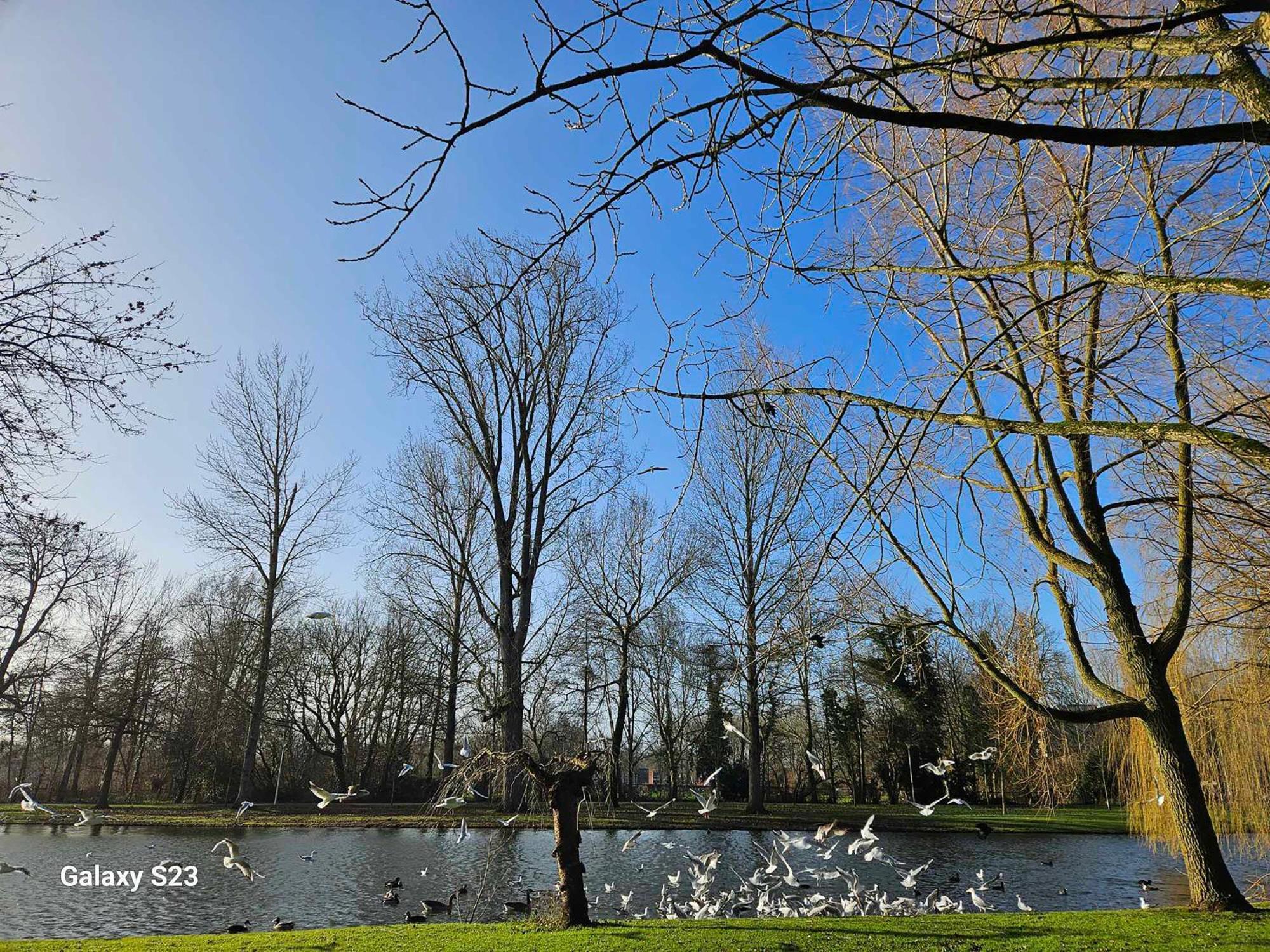 De Stadsboerderij Kampen Kültér fotó